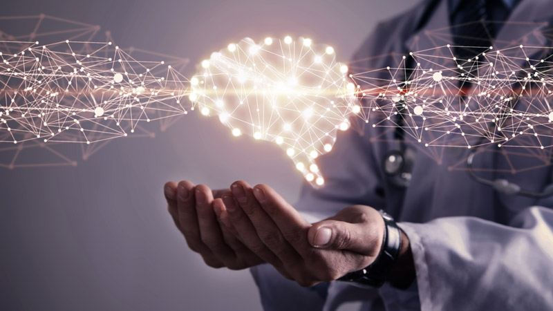Doctor Holding Brain